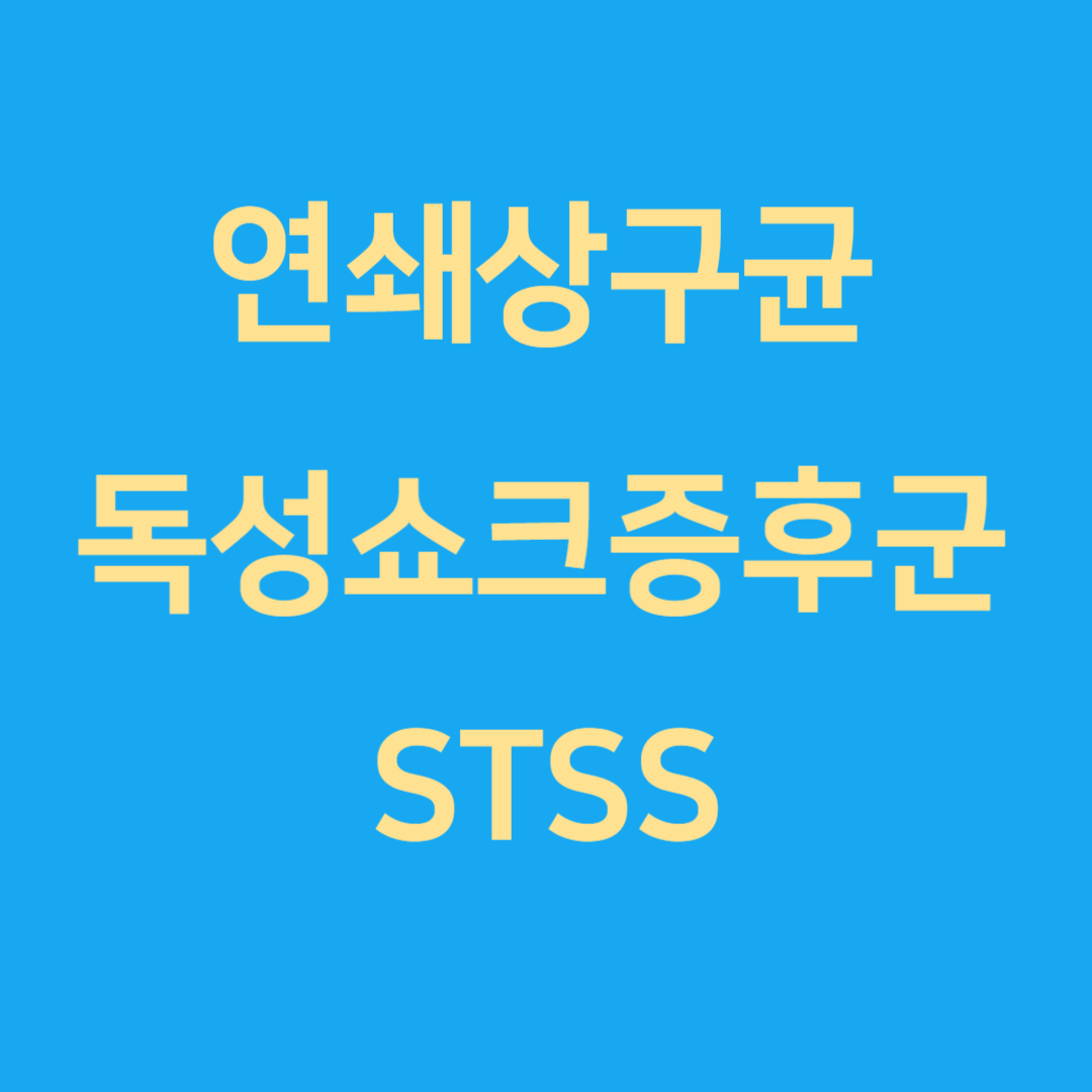 연쇄상구균 독성쇼크증후군 STSS