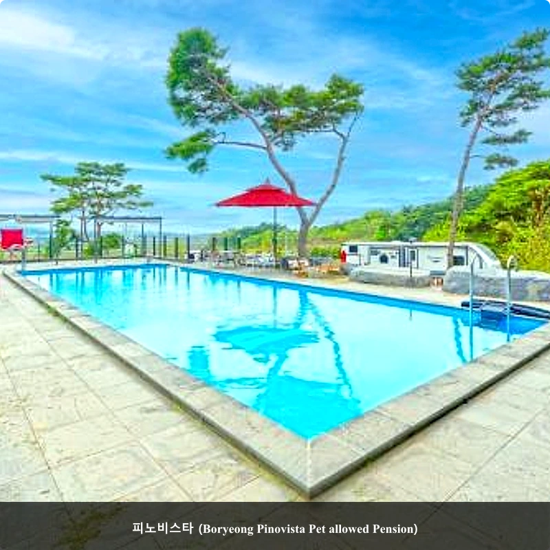 피노비스타 (Boryeong Pinovista Pet allowed Pension)_5