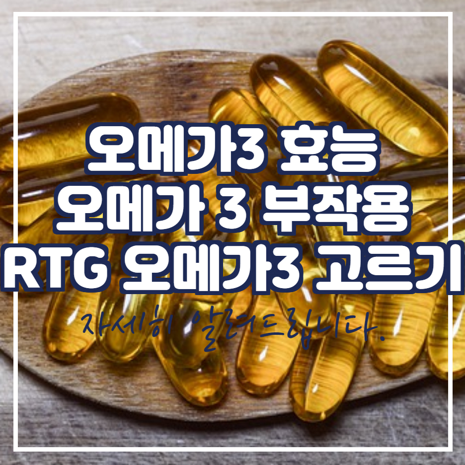  오메가3 효능 부작용 알티지 NCS 고르는 방법