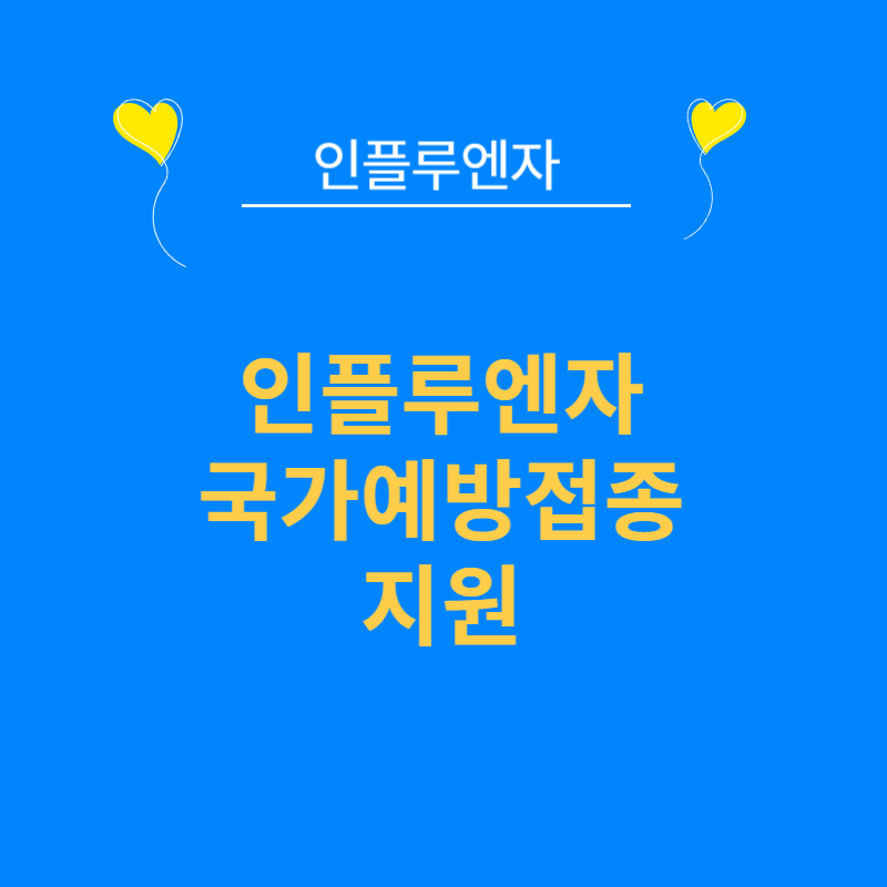 인플루엔자 국가예방접종 지원