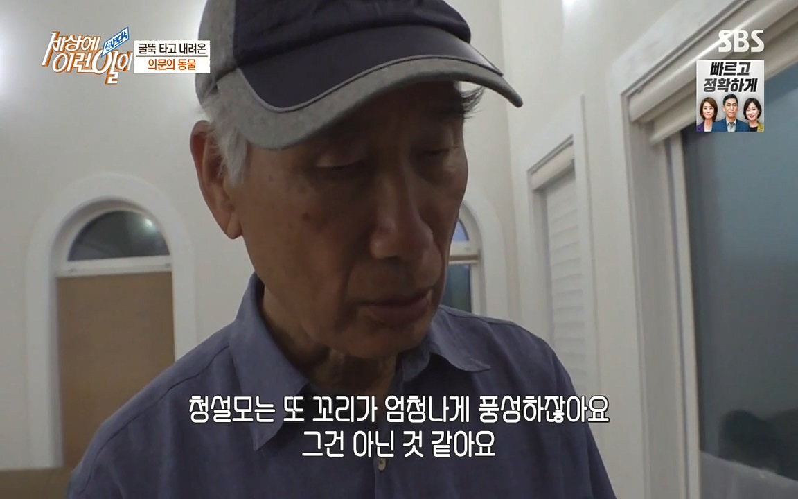 순간포착 세상에 이런일이.E1182.220532p-NEXT.mp4_20220601_173139.087.jpg