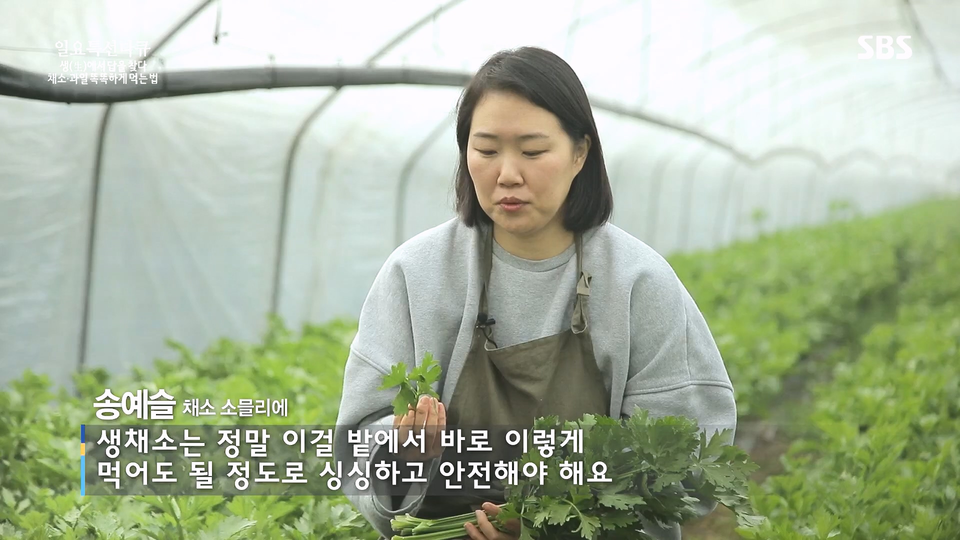 일요 특선 다큐멘터리.E335.240107p.H264-F1RST.mp4_20240108_204547.003.jpg