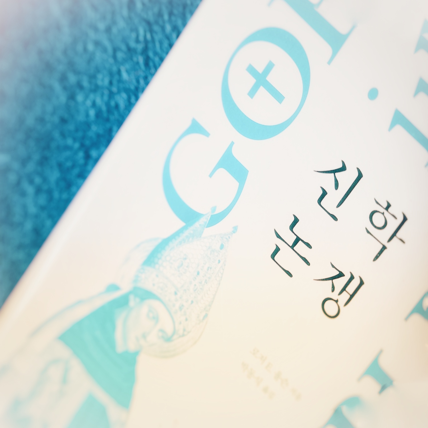  중세 스콜라 철학자이자 신학자인 아퀴나스와 급진적 환경보호 운동가인 아시시의 프란체스코가 신 인식에 관해 치열한 논쟁을 벌이다          - '신학논쟁'