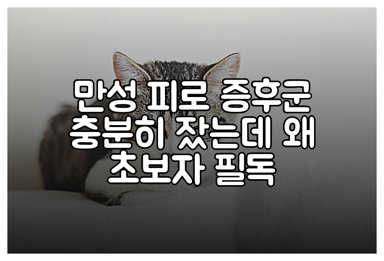 만성 피로 증후군 충분히 잤는데 왜 초보자 필독