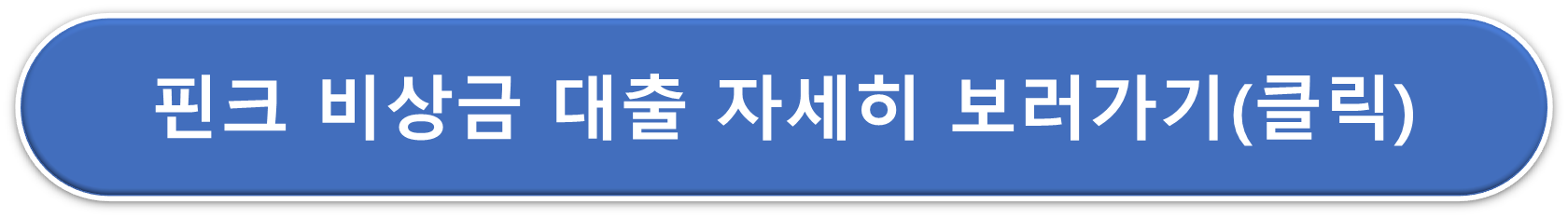 핑크비상금대출 상세보기