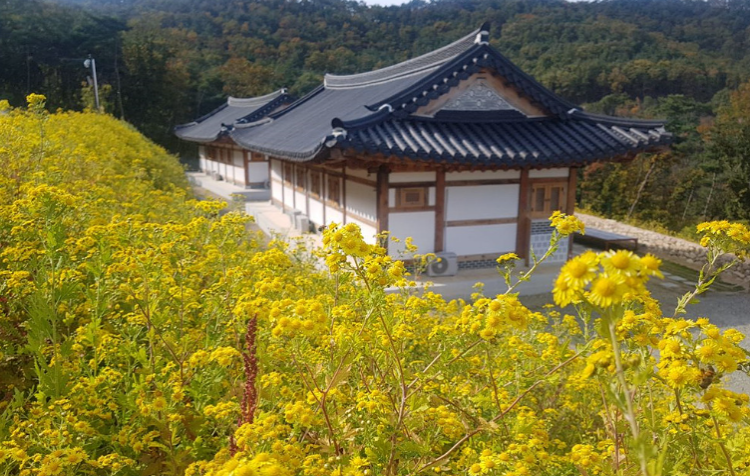 속리산 숲체험휴양마을