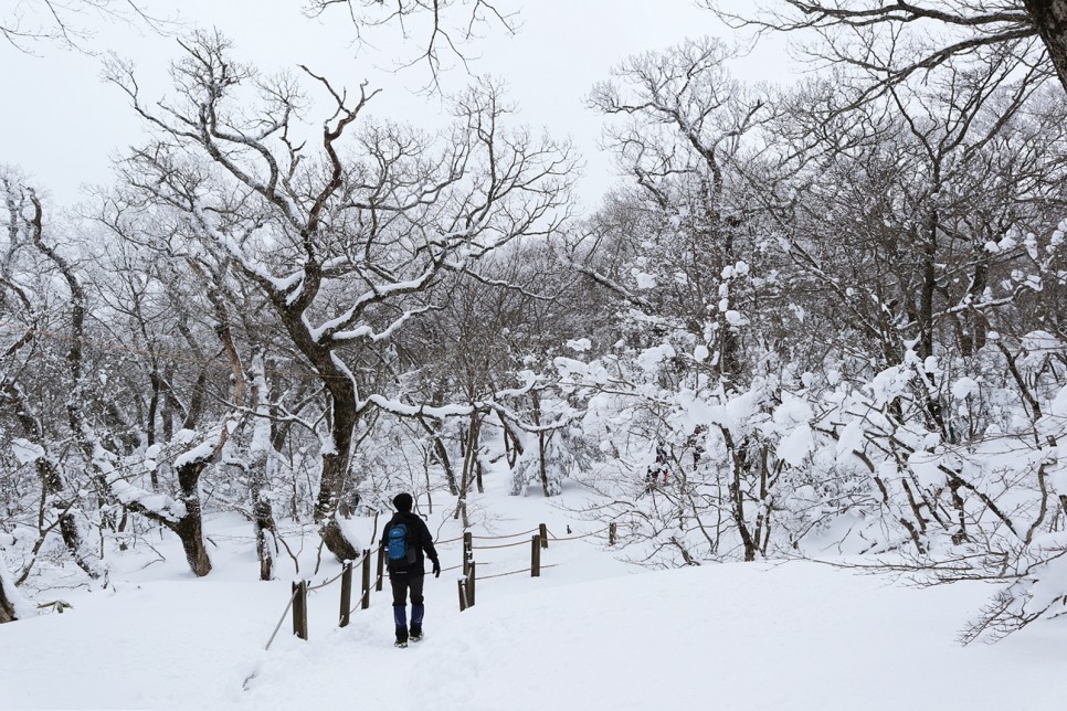 눈쌓인 겨울산 이미지 17