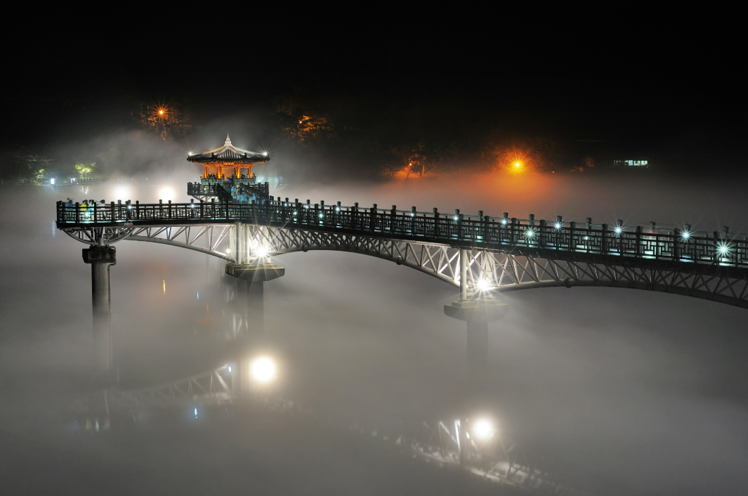 월영교 야경 감상 : 밤의 낭만, 월영교에서 꽃 피우다!