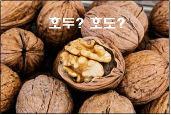 호두 호도 중 바른 표현은 1