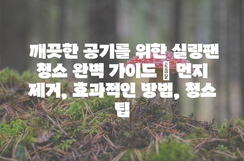샘플 (42)