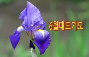 6월 둘째주 주일 대표 기도문 모음_20