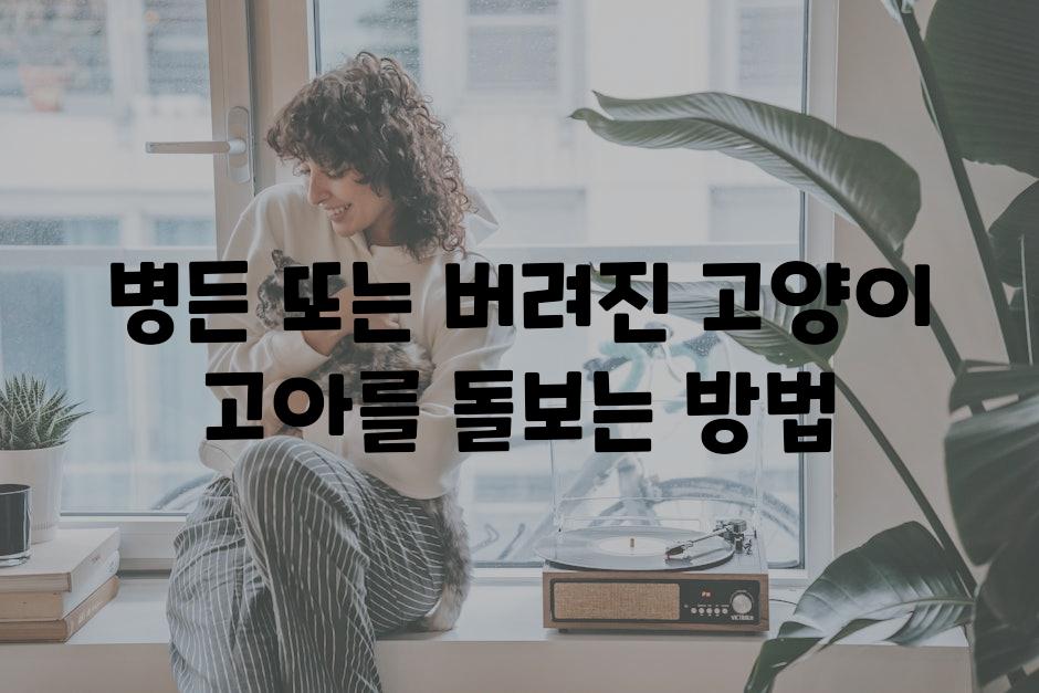 병든 또는 버려진 고양이 고아를 돌보는 방법