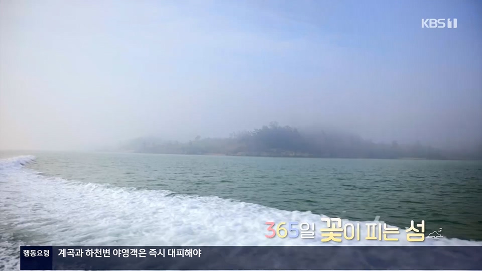 다큐 On.E201.230610p.H264-F1RST.mp4_20230611_165932.688.jpg