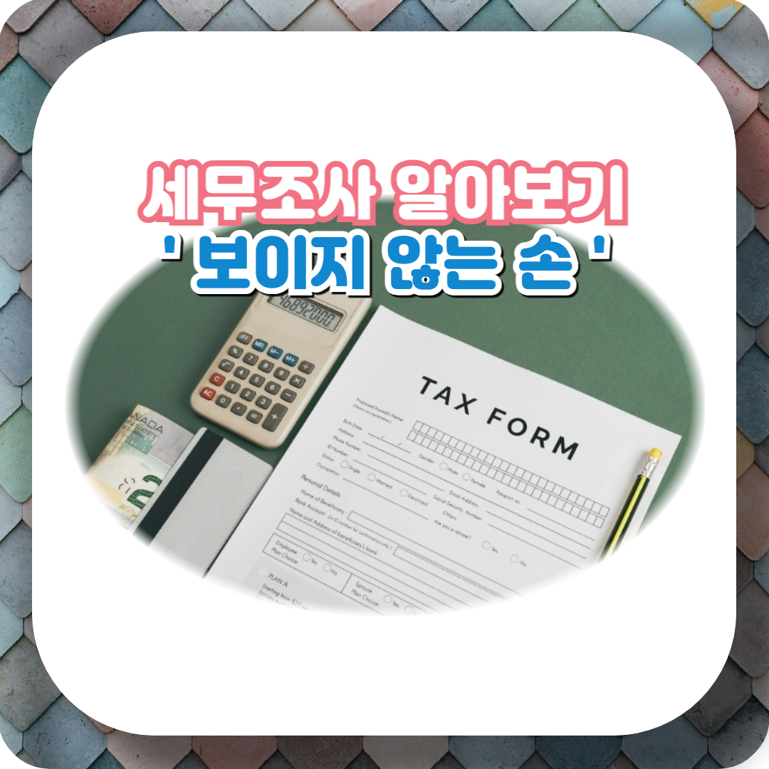  세무조사 알아보기, '보이지 않는 손' 조사 4국의 눈