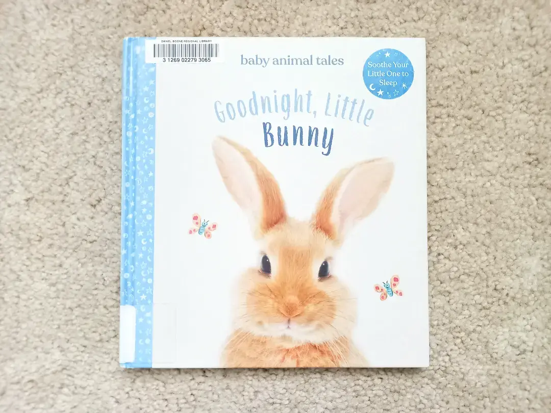 Goodnight&#44; Little Bunny (Baby Animal Tales)