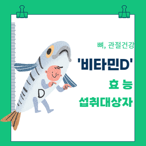  뼈·관절건강_비타민D 효능과  섭취대상자