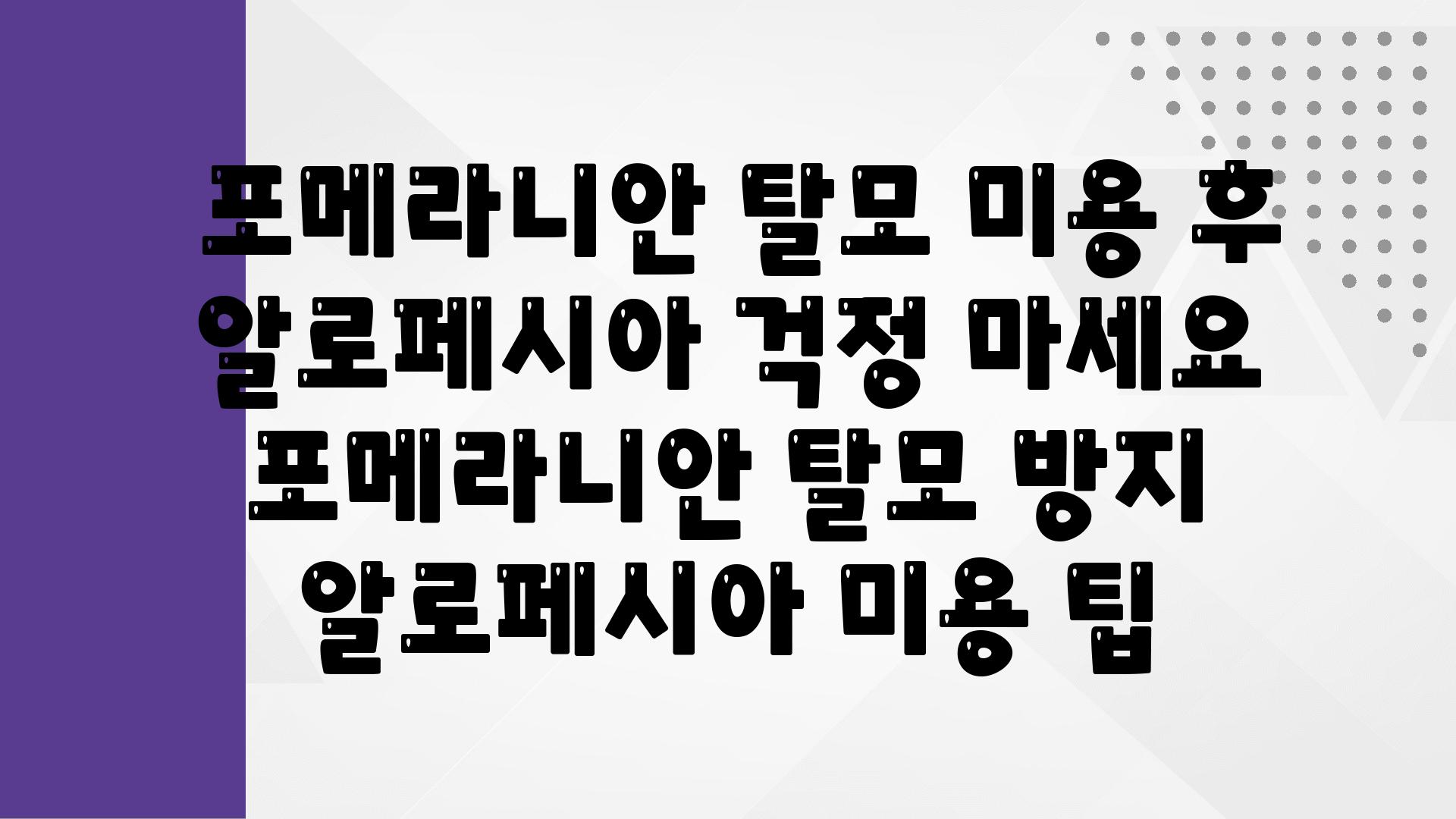  포메라니안 탈모 미용 후 알로페시아 걱정 마세요  포메라니안 탈모 방지 알로페시아 미용 팁