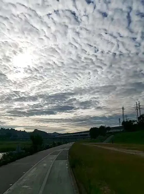 서천둔치