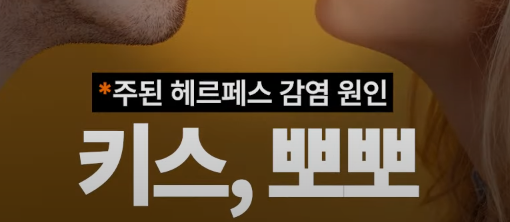 헤르페스 감염 경로4