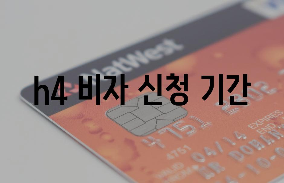 Visa 8