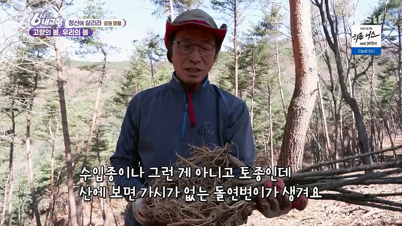 6시 내고향.E7751.230324p.H264-F1RST.mp4_20230324_205558.913.jpg