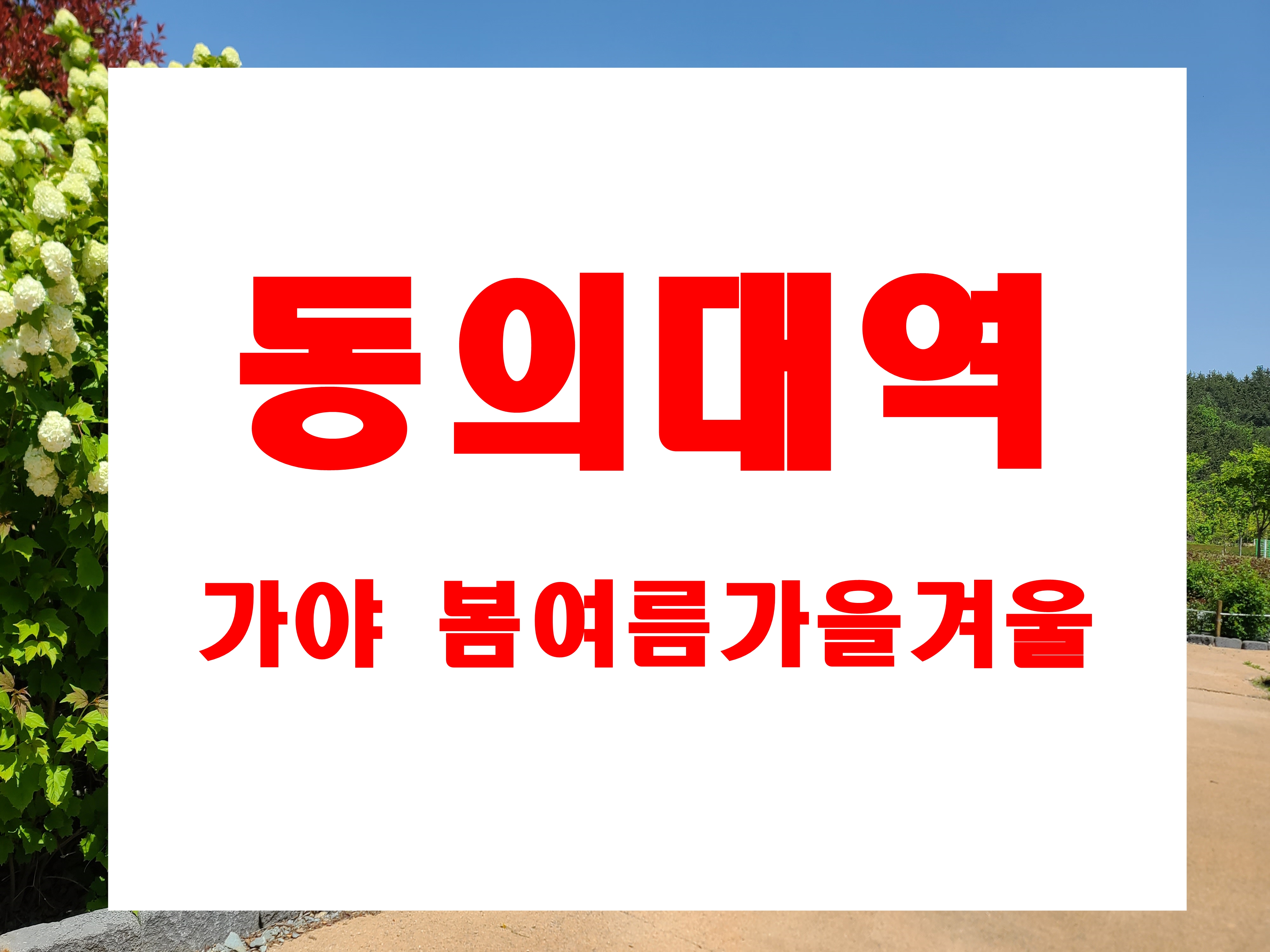 가야 봄여름가을겨울 분양  동의대역 3분 아파트 모델하우스 방문