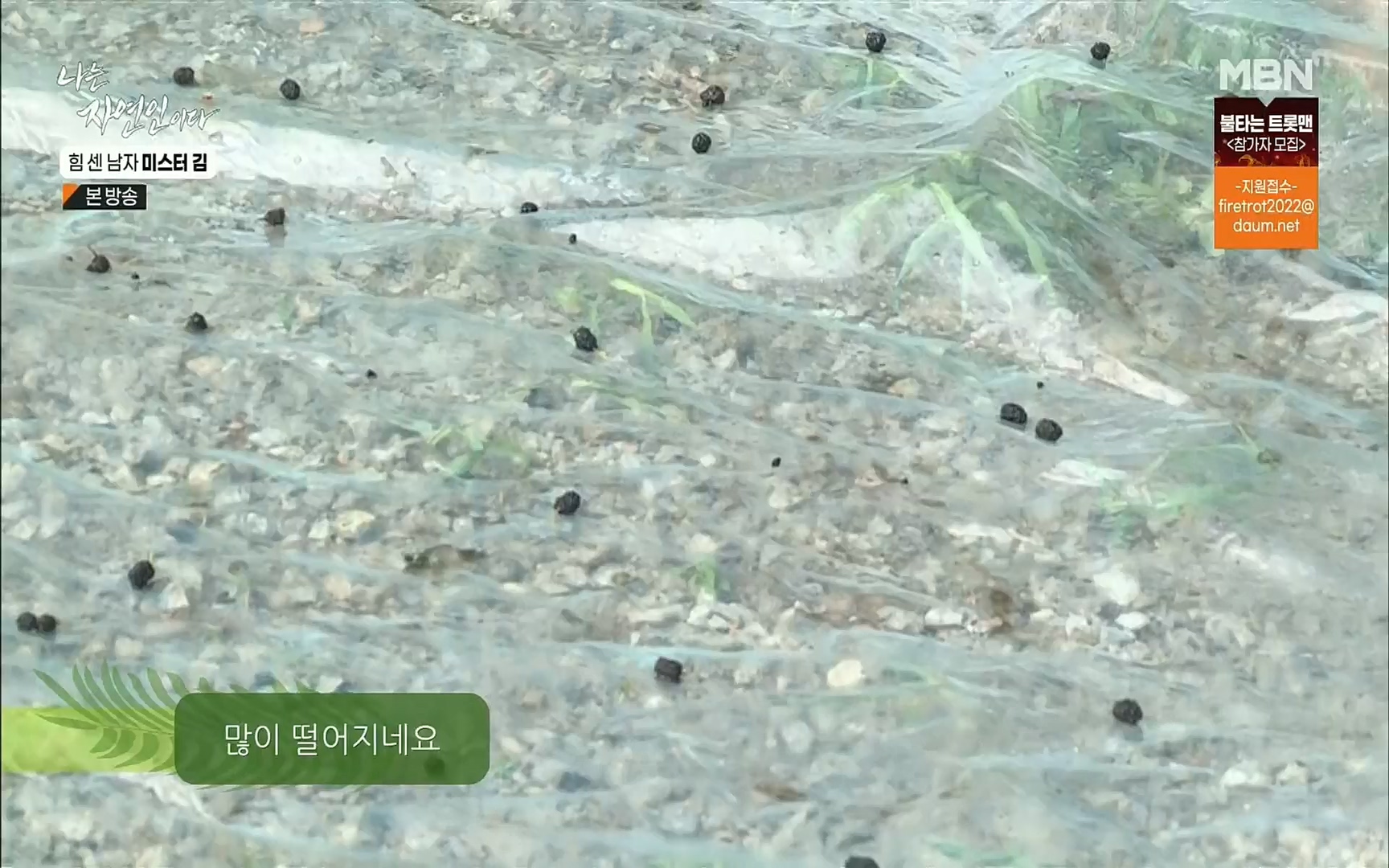 나는 자연인이다.E510.220713p.H264-F1RST.mp4_20220714_180707.874.jpg