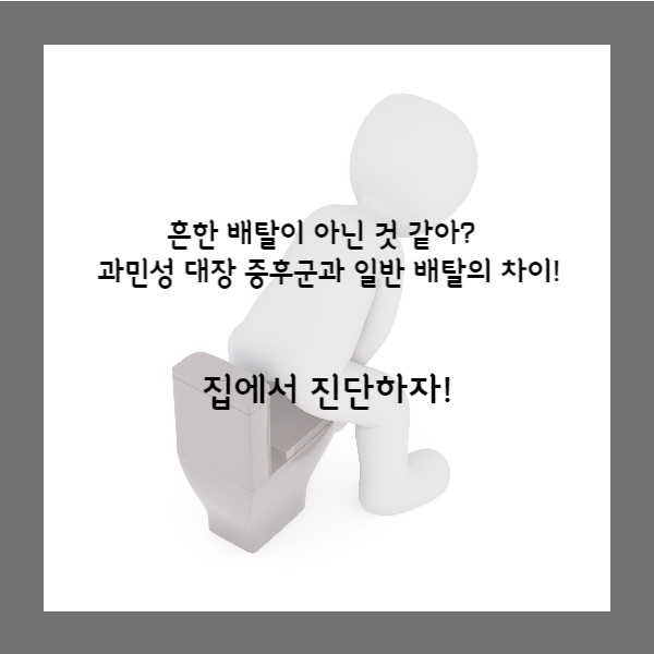  흔한 배탈 아닌 것 같아?  과민성 대장 증후군과 일반 배탈의 차이!