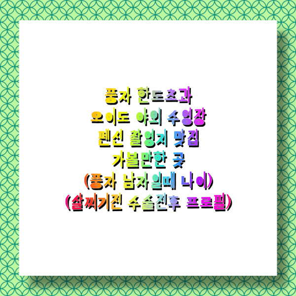  풍자 한도초과 오이도 야외 수영장 펜션 촬영지 맛집 가볼만한 곳 (풍자 남자일때 나이 살찌기전 수술전후 모습 프로필)