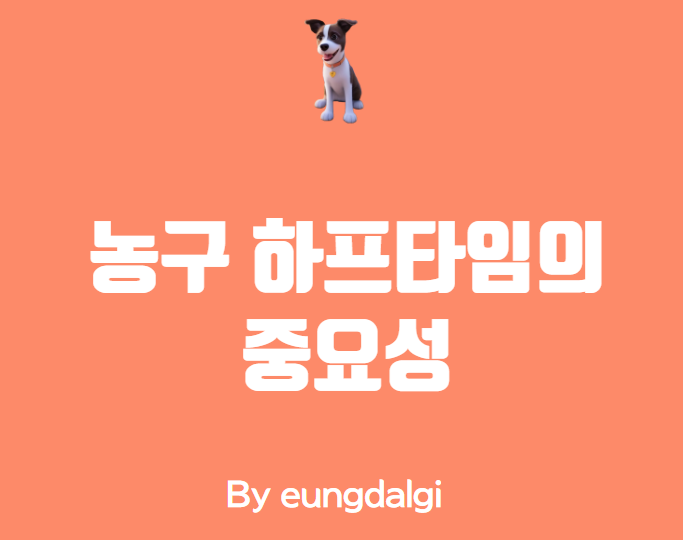  농구 하프타임: 전략 수립과 휴식의 중요성