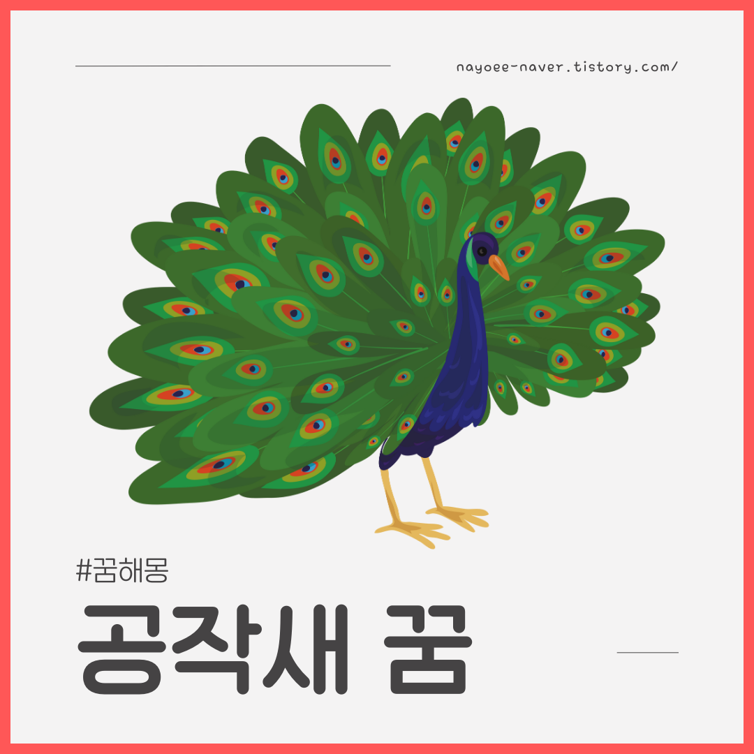 [꿈해몽] 공작새 꿈