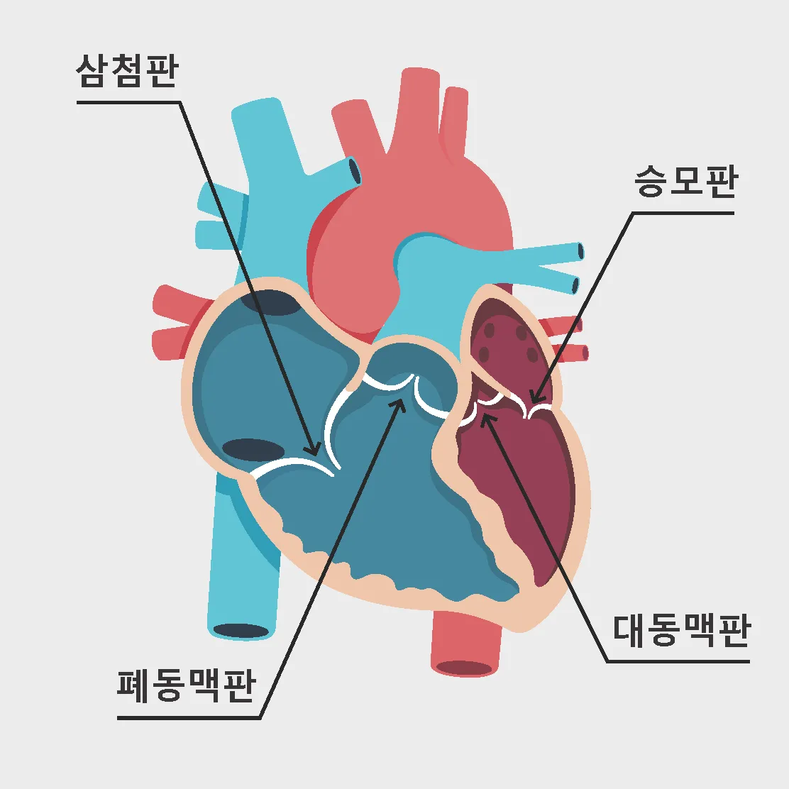 가슴이 두근두근 뛰고 답답할때_1