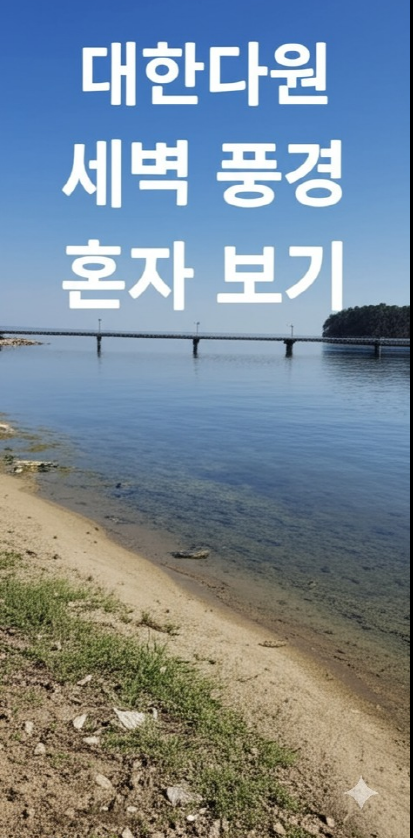 대한다원 새벽 풍경 혼자 보기 (보성, 녹차밭, 혼자여행)