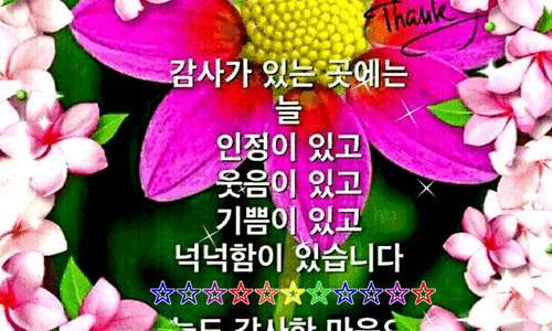 점.하나 이미지
