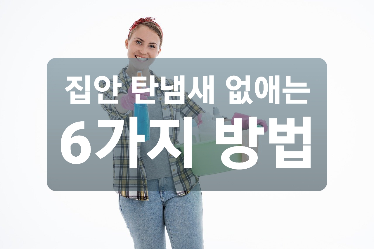  집안 탄냄새 없애는 방법 6가지