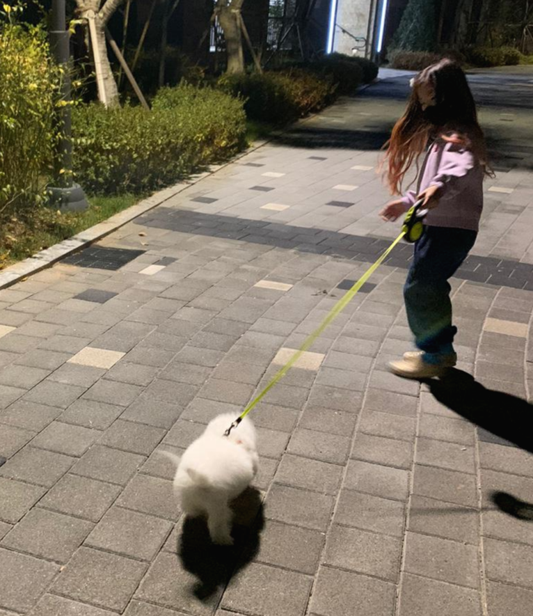 우리집 강아지 동구의 첫 산책 모습(34)