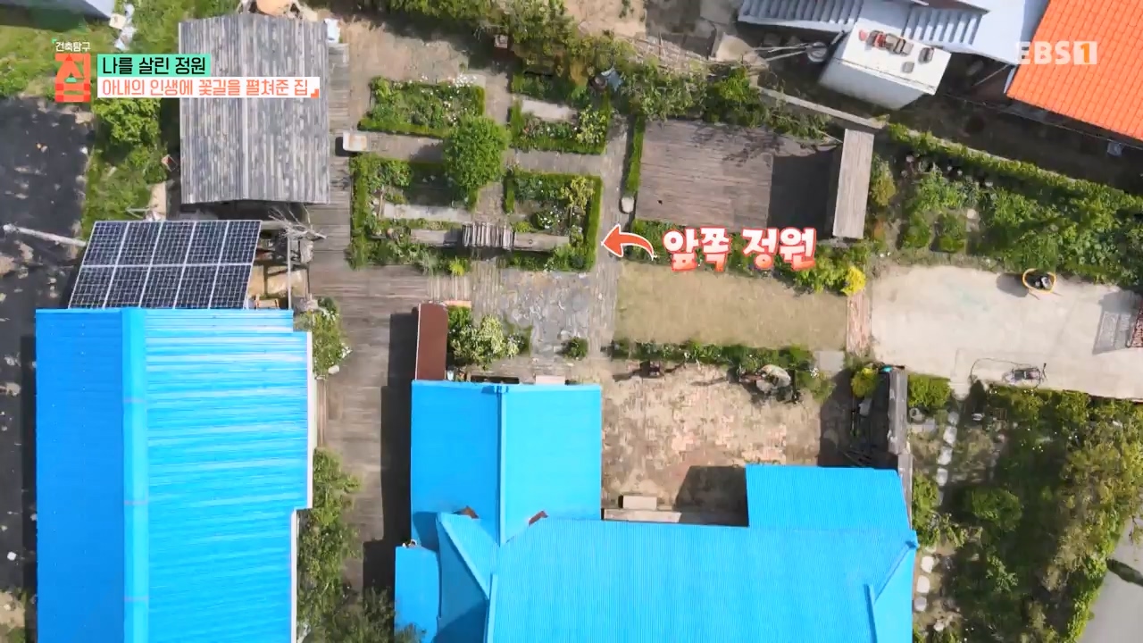 TV - 전 국민의 평생학교 EBS나를 살린 정원.mp4_20230814_211334.050.jpg