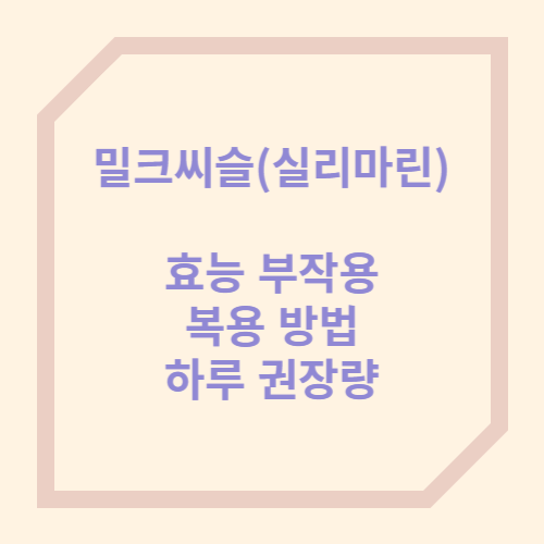 밀크씨슬(실리마린) 효능 부작용 1일 권장량 2