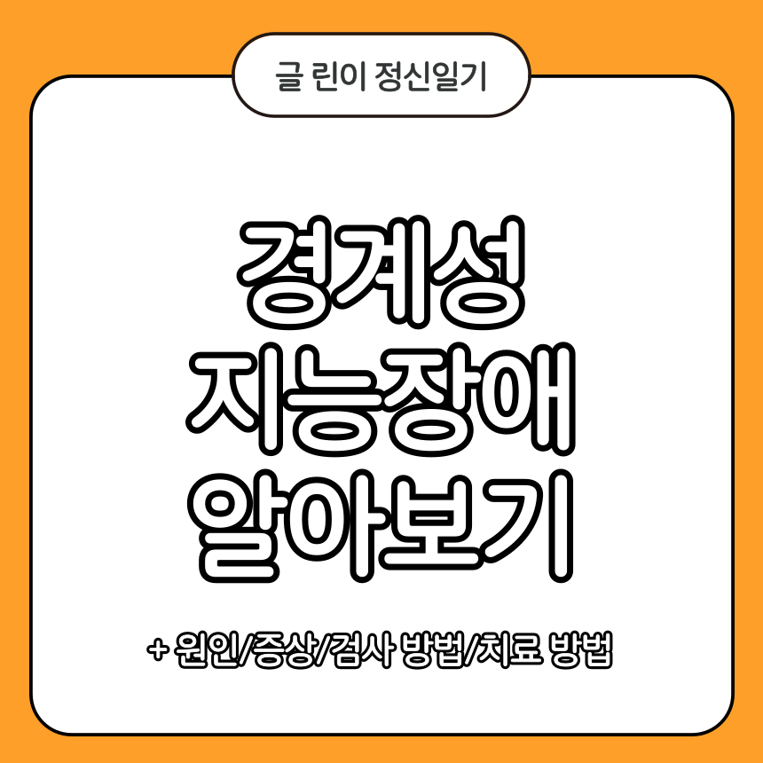 경계성 지능장애