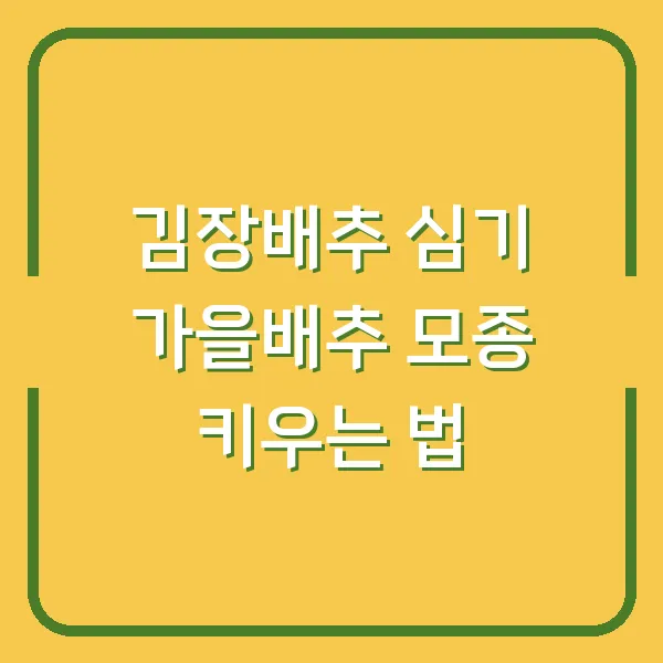 김장배추 심기 가을배추 모종 키우는 법