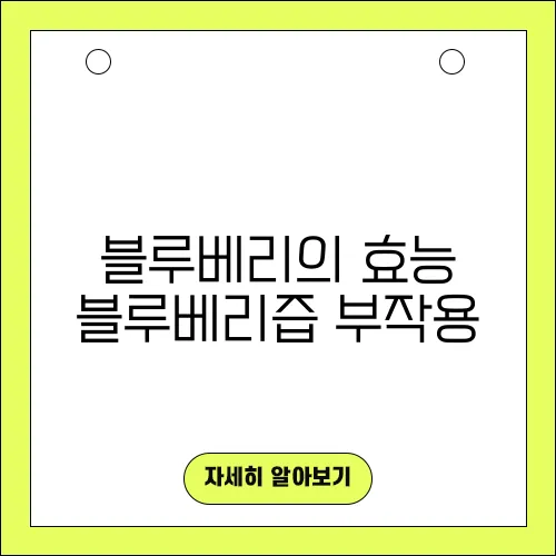 블루베리의 효능 블루베리즙 부작용