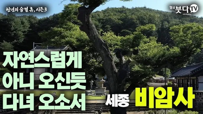 세종 가볼만한곳 베스트10 여행 놀거리 맛집 알아보기_4