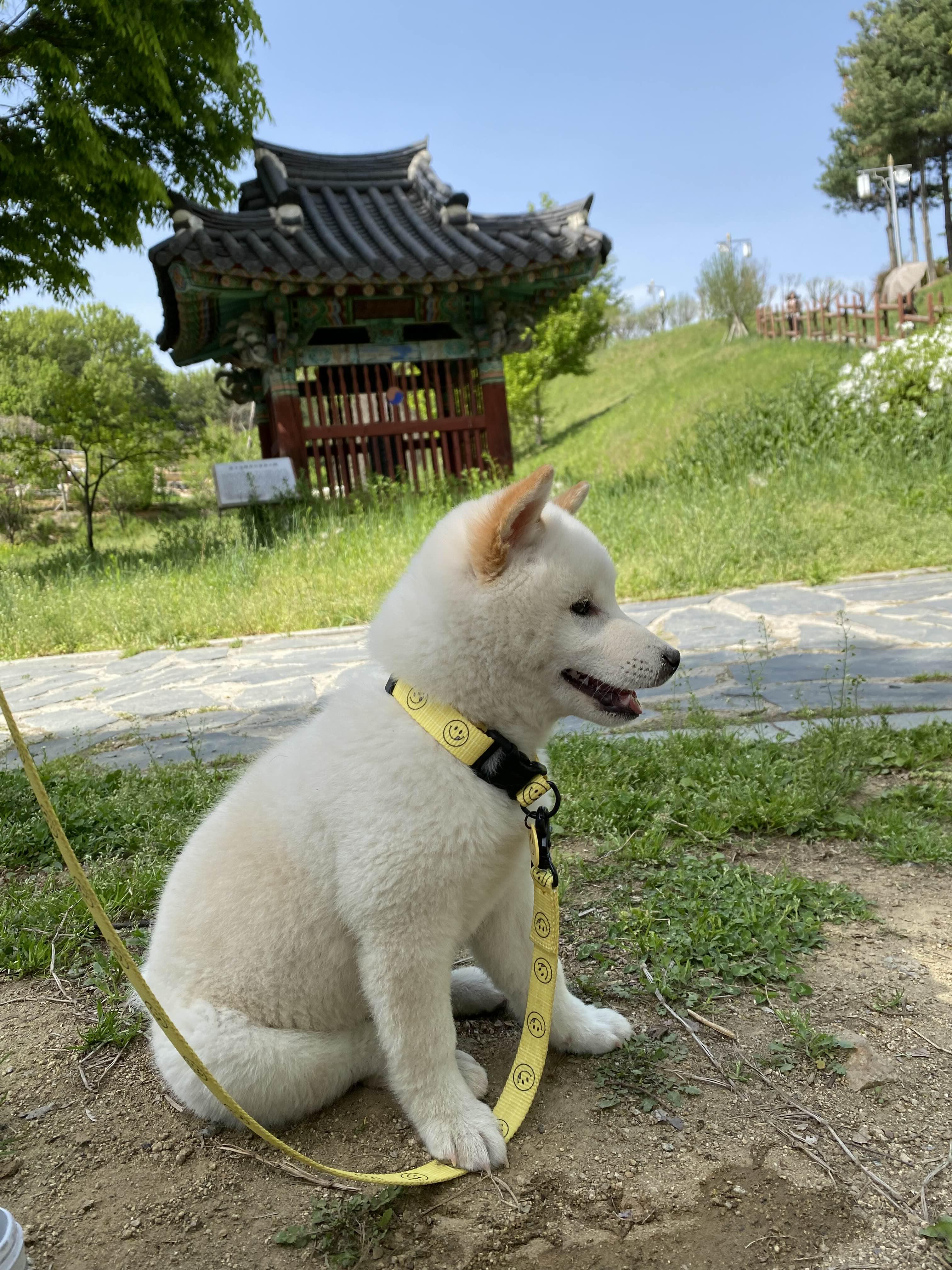 alt 태그