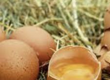 계란말이 맛있게 하는법 황금레시피 프라이팬14