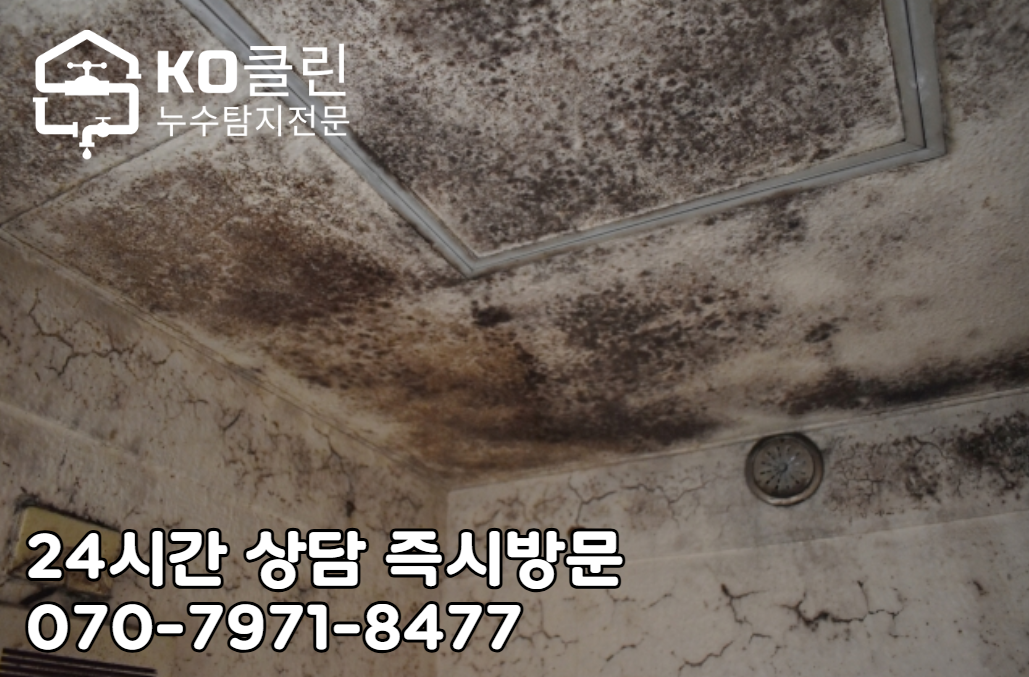 송파구청 누수 탐지2