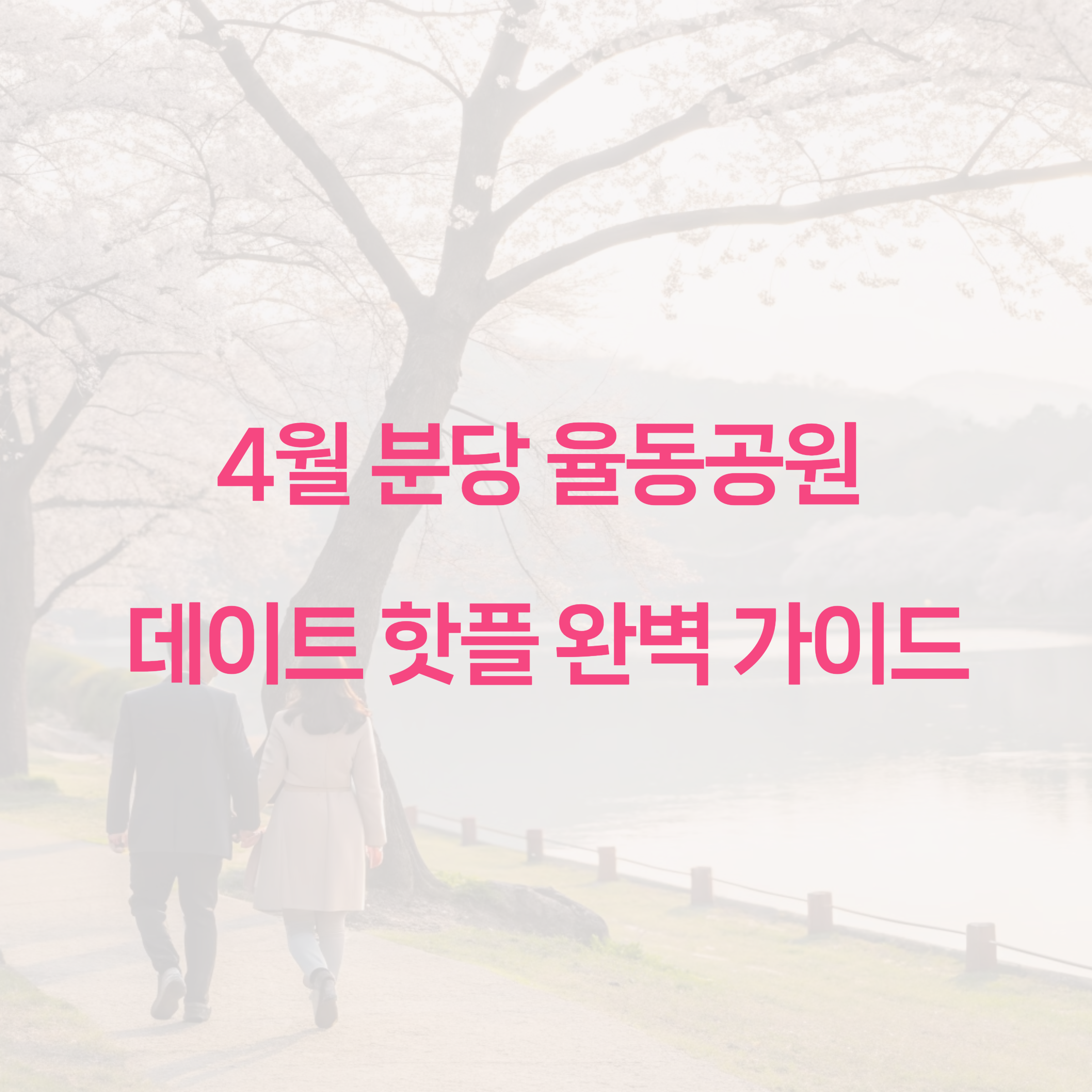벚꽃 이미지