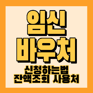 임신바우처 신청하는법 잔액조회 사용처