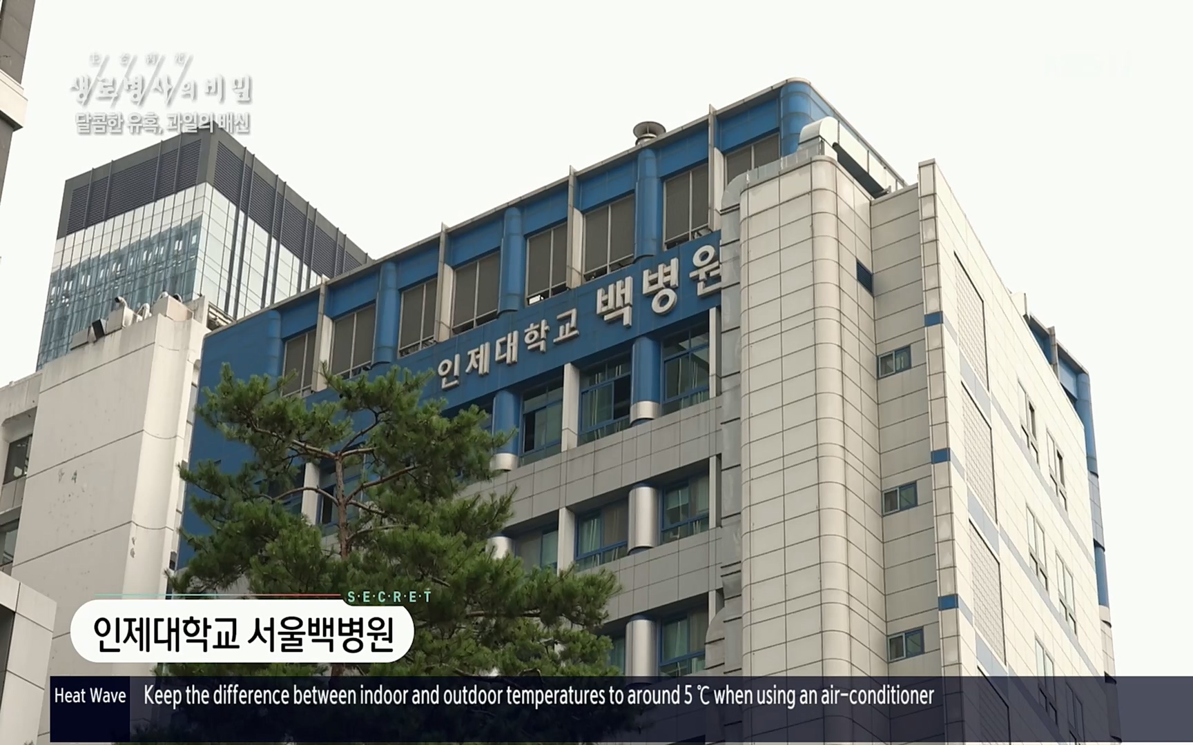 생로병사의 비밀.E829.220803p.H264-F1RST.mp4_20220804_204339.741.jpg