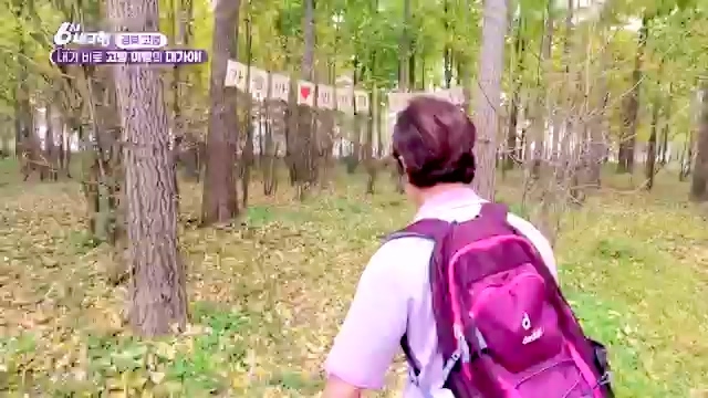 [7910회] 6시 내고향 - KBS[7910회] 6시 내고향[고령 축제 특집 중계] 과거와 현재의 만남! 개실마을 - 경북 고령 고령 가야 탐험대 보물을 찾아라 - 경북 고령 [출장! 내고향 요리사] 철의 왕국, 후손을 위한 요_20231115_205757.340.jpg