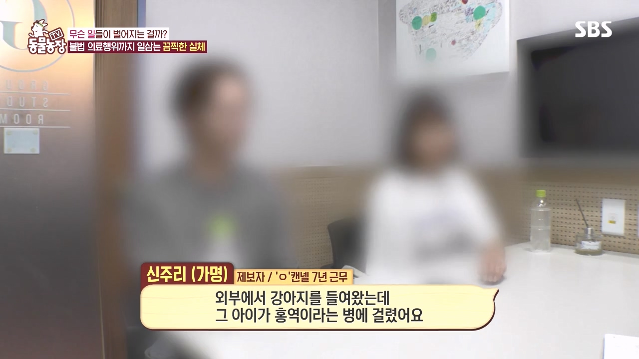 TV 동물농장.E1142.231023p-NEXT.mp4_20231022_172429.887.jpg